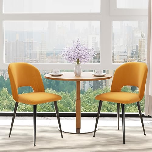 PIPIPOXER Lot de 2 chaises de Salle à Manger ou Salon, avec Dossier, Assise en Tissu Velours et Pieds en métal, pour Salle à Manger, Salon,Jaune
