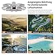 NEEWER 4er Pack ND Filter Set, kompatibel mit DJI Avata 2, Neutraldichtefilter ND8/ND16/ND32/ND64, Drohnen Objektiv Zubehör doppelseitig beschichtetes HD Glas Keine Störungen mit der Objektivabdeckung