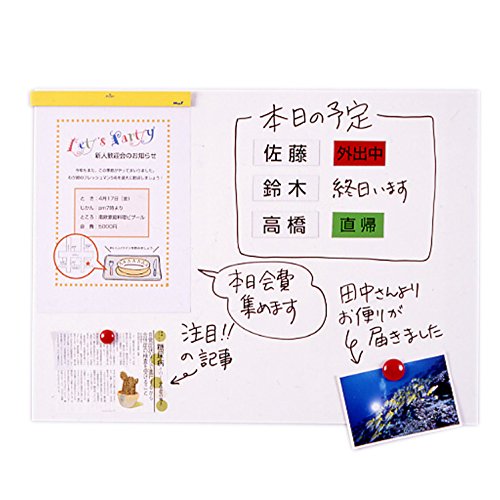 マジック教室用教材/サイドウォークシャッフル10セット マジック教室用教材/サイドウォークシャッフル10セット マジック