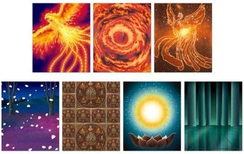 Saint Cloth Myth EX - Juego de efectos de piezas (Phoenix y Virgo) Exclusivo