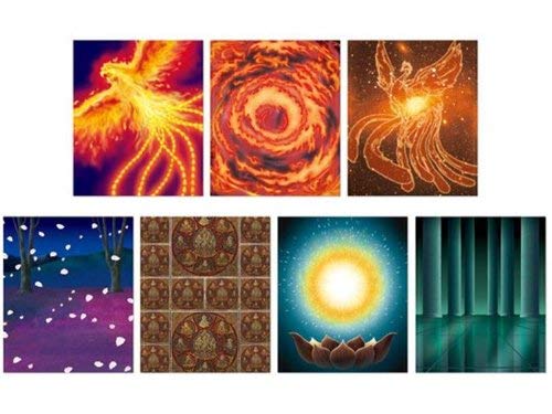 Saint Cloth Myth EX - Parts Effect Set (Phoenix & Virgo) Exclusive (japan import)