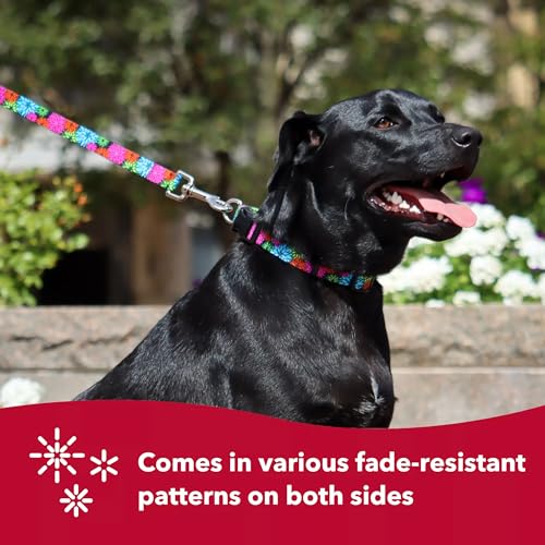 Collar Ajustable para Perro Patrones Estilo Wildflower miniatura 5