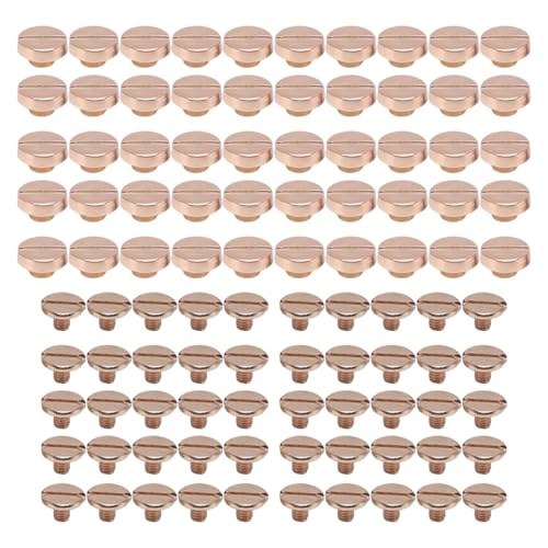 oCfBOxbglWZbg 50 tbgXbgt@Xi[U[NtgxgXgbvݖ{̏CƑS[f 8 ~[g