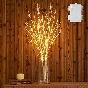 Hairui Lighted Artificial Twig Birch Branch with Fairy Lights 32IN 100 LED Battery Operated, White Willow Branch with…