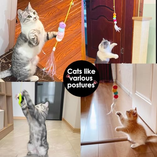 Juguetes de hierba gatera colgante con altura ajustable y plumas para ejercicio de gatos interiores 7