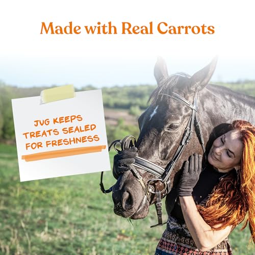 Manna Pro Tasty Delights Horse Treats, Carrot Flavor, Made in USA, 3 lb Tub | Bite-Size Training Treats, Carrot Flavor, Great for Daily Rewards, Encourages Positive Reinforcement for Horses - Image 3