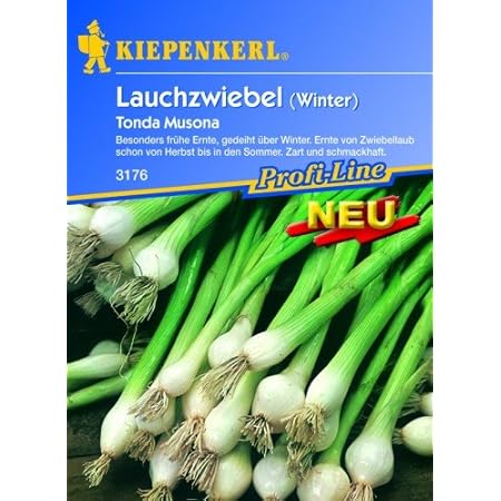 Lauchzwiebeln 'Tonda Musona'