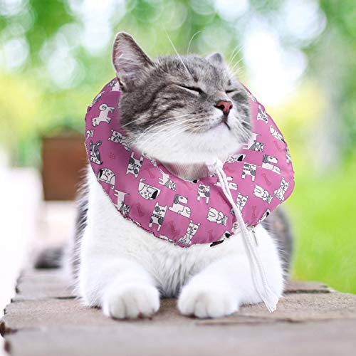 POPETPOP Gato Colarinho Colarinho Cão Gatinho Colar De Recuperação de Recuperação da Cirurgia a Cica