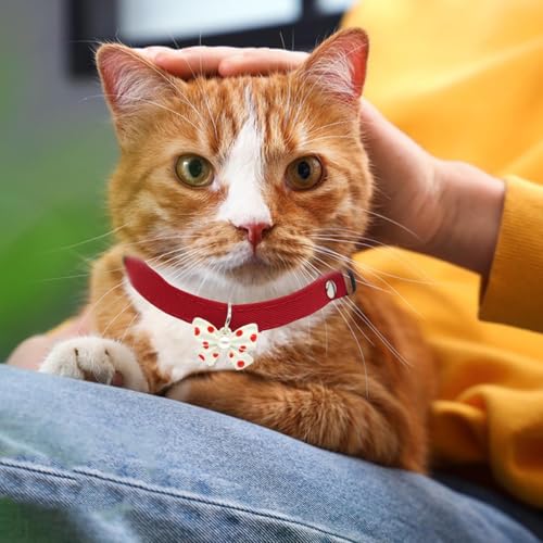 Collar con lazo para mascotas de algodón premium con pajarita decorativa 2