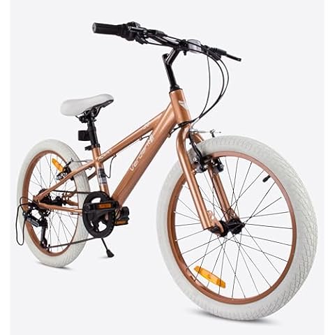 VERDANT BIKE 20-Inch Children's Bicycle for Boys Cover