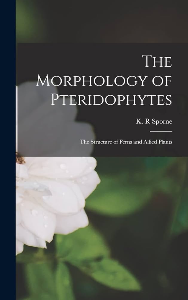洋書 MORPHOLOGY OF PLANTS 8199VulWK5L._UF350,350_QL50_.jpg