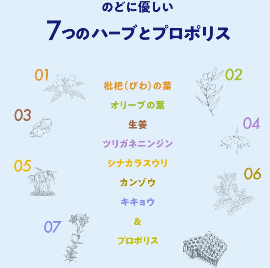 Amazon.co.jp: カンロ ボイスケアのど飴 70g×12袋 ボイスケア のど飴