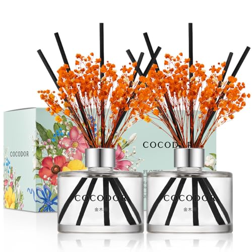 COCODOR RRh[ t[fBt[U[ ؍ (LNZC) 200ml 2 [hfBt[U[ XeBbNt [tOX F p Mtgv[g