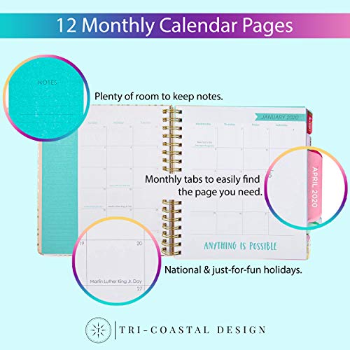 2020 Busy, 12 Month Daily Planners/Calendars: Tri-Coastal Design Planners with Monthly, Weekly and Daily Views - Personal Planner Notebook for Work or Home