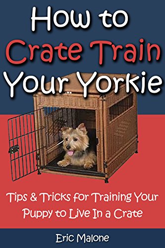 how to crate train a yorkie