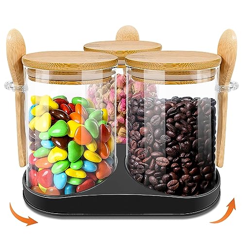 Find The Best Glass Containers Reviews & Comparison Glory Cycles