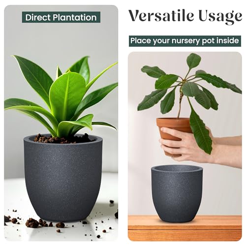 Image of YUCCABE ITALIA FOXB PCUP 12 INCH Pots for Plants Highly Durable Polymers Lightweight Indoor Outdoor Flower Pot Gamla Tree Planter Container Planters for Living Room, Balcony, Garden | Gray