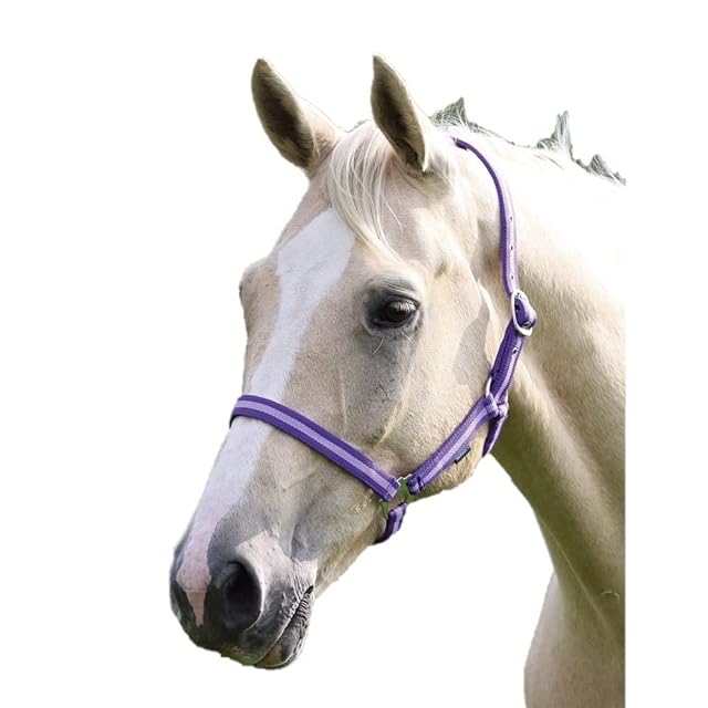 Shires WESSEX - Caballo de nailon