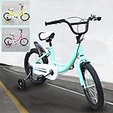 BTdahong 16 Pulgadas Bicicleta para Niños, Bicicleta Infantil con Rueda Auxiliar, Bicicleta de Niño con Pedal (Green)