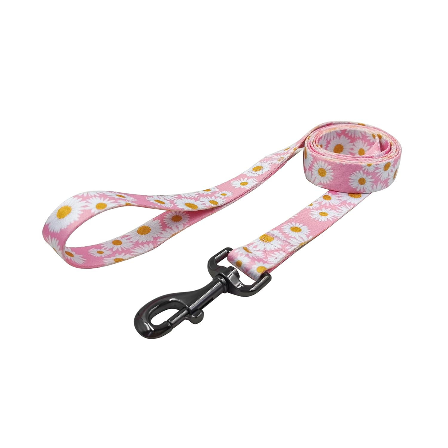 View 5