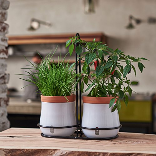 LEONARDO HOME Serra Vaso per Piante, Bianco