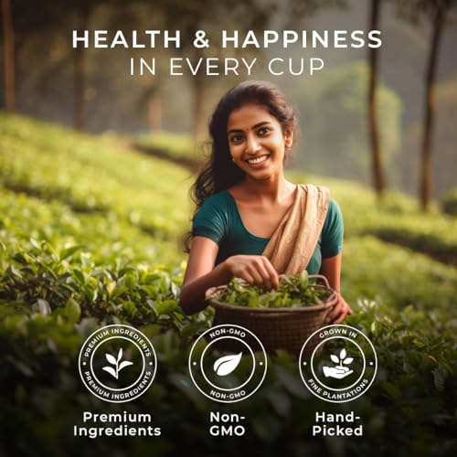 Image of Gya Tea Co Morning Start Tea Pod Collection Gift Set (16 Count) - Different Flavors Assorted Variety Pack