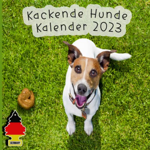 Hundebesitzer Geschenk Farbenfrohes Schlu00fcsselband