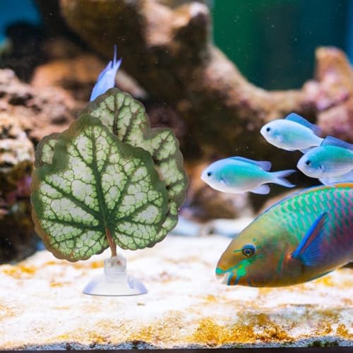 Image of 2Pcs Betta Fish Leaf Hammock Aquarium Plastic Betta Bed Resting Spawning Pad for Beta Fish Tank Accessories