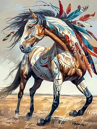 Weatphe 5D Diamond Painting Kits Indian Horse, Canvas DIY Gemstone