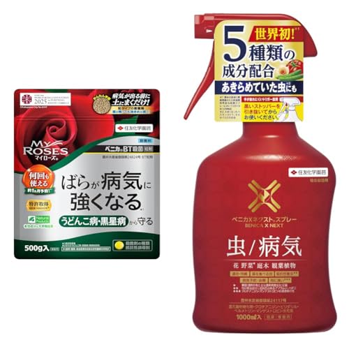 yZbgzZFw| Eۍ }C[YxjJBTEۗ500g  KN aC + EEۍ xjJXlNXgXv[ 1000ml 5    aC