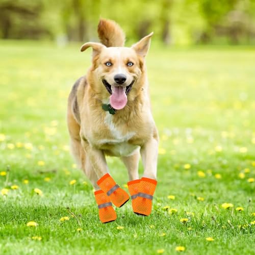 4 Stück Hundeschuhe Pfotenschutz Outdoor, Atmungsaktive Hundeschuhe Für Sommer, Mesh Hunde Schuhe Schutz Vor Verletzungen Und Hitze, Anti-Rutsch Verstellbarem Hundeschuhe Ideal Für Kleine Hunde