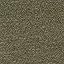 Olive Heather Olive Heather