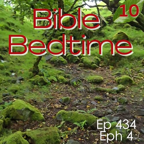 Eph 4: One Lord Podcast Por  arte de portada