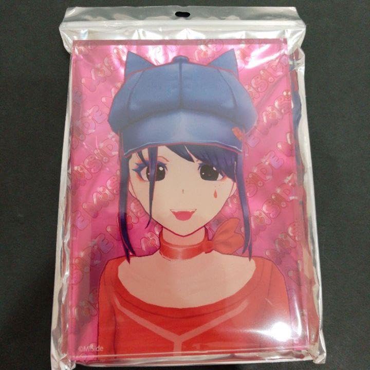 フミフミ　904040サイドアクリル フミフミ様専用 904040サイドアクリル