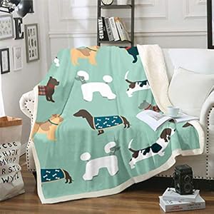 Loussiesd Jamnik Sherpa Koc HML2492MTLYP