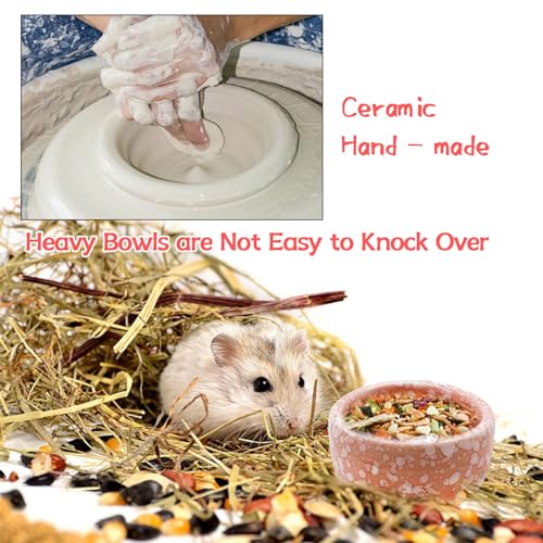 kathson 4 Pcs Hamster Food Bowl Guinea Pig Ceramic Water Bowl Small Animal Feeding Dish for Dwarf Hamster Gerbil Syrian Ferret Hedgehog Chinchilla Bunny (Pink) - Image 4