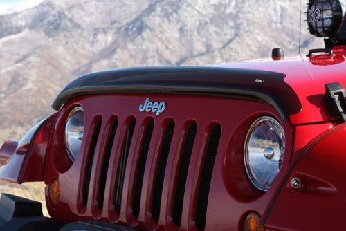 Westin Wade 72-94132 Smoke Tint Platinum Bug Shield #TOP2