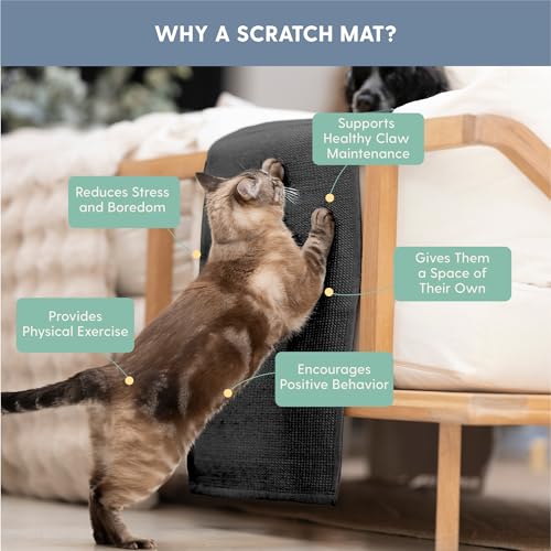Image of The Cat Ladies Cat Scratch Furniture Protector Mat - Couch Protector from Claws - Anti Scratch Furniture Protectors from Cats Scratching - Sisal Scratcher Pad with Pocket - Dark Grey