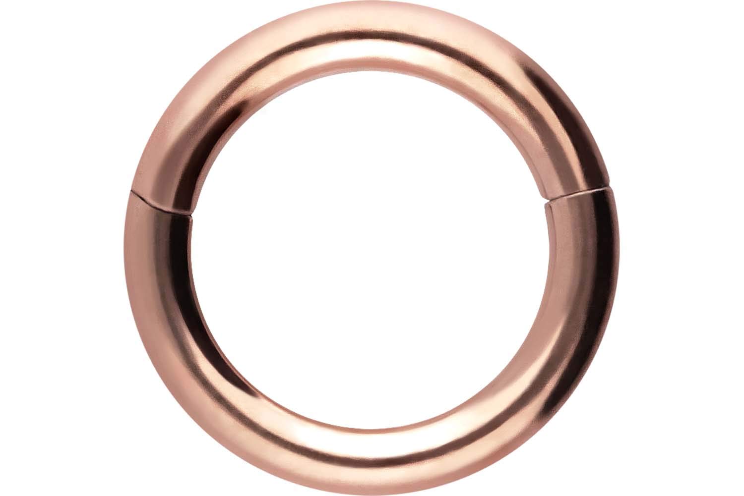 PIERCINGLINE Anillo segmento Clicker de acero quirúrgico – Piercing en oro, plata, rosa, negro o azul – para nariz, tabique, oreja, hélice o tragus — view 87