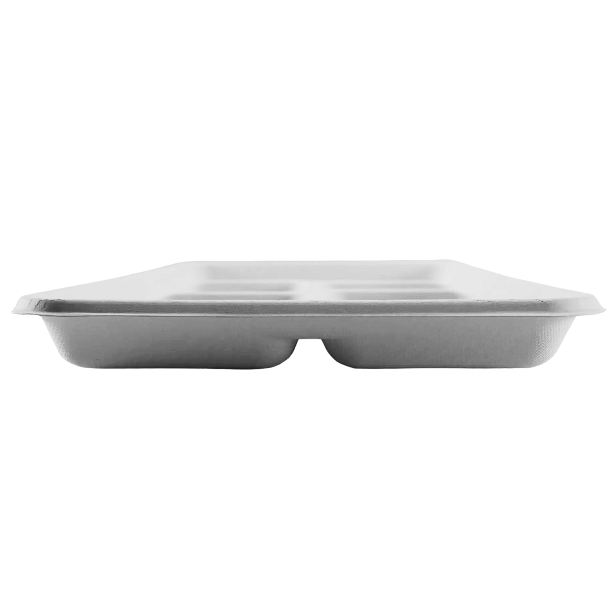HARSHU - Platos de caña de azúcar de 6 compartimentos, paquete de 25, platos desechables ecológicos, vajilla biodegradable y compostable para fiestas, eventos y catering