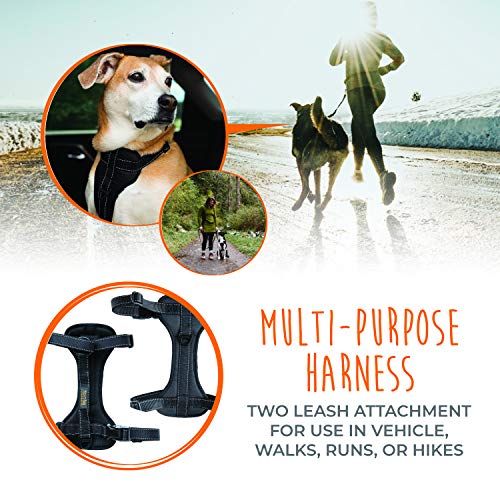 Mighty Paw Car Dog Harness, Vehicle Safety Harness With Adjustable Straps And Soft Padding, Doubles As A Standard Harness With A No Pull Front Leash Attachment #TOP5