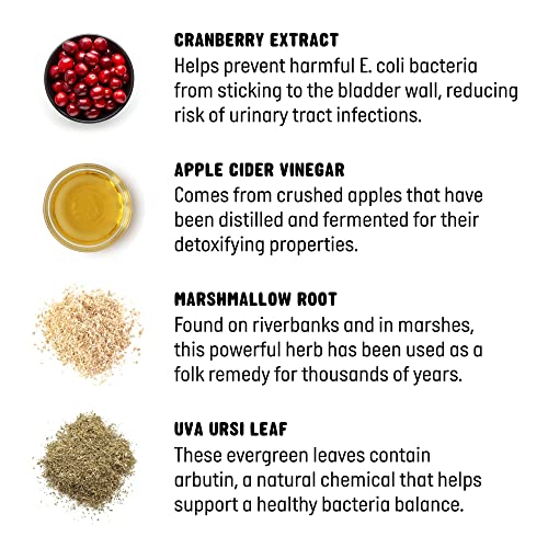 Active Chews | Cranberry Supplement For Dogs | Dog Uti, Bladder Control For Dogs | Dog Kidney Support, Dog Cranberry Supplement, Dog Health Supplies, Dog Incontinence Products | 120 Ct #TOP5