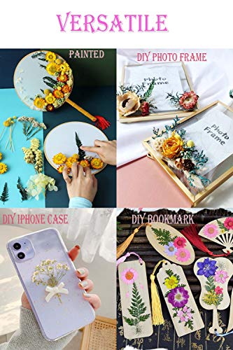 image for BLYNN Real Dried Pressed Leaf Flowers Plant Herbarium for Craft Jewelr