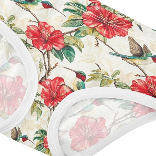 ZZKKO Hummingbird Red Flower Girls Underwear Toddler Panties for Girls Comfort Brief Size 2-8T3