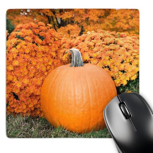 Tapis de souris citrouille et mamans un cadeau d'automne pour amoureux des livres