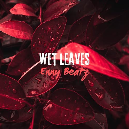 Wet Leaves
