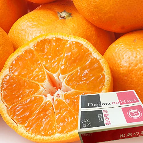 ݂ ỏ ۏGAbv 5kg LTCY 40 x14xȏ JAȂC 茧Y ~J t[c ʕ O