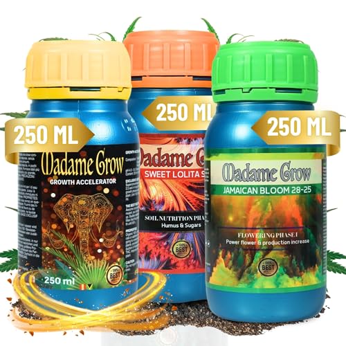 MADAME GROW fertilizante 420 plantas verdes - abono plantas verdes - abono liquido para plantas - fertilizante crecimiento universal- fertilizante floracion para plantas - frutos (KIT BASIC 3x250ml)