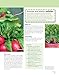 Fast, Fresh Garden Edibles: Quick Crops for Small Spaces (Creative Homeowner) Expert Gardening Tips for Fast-Growing Vegetables, Fruits, & Herbs, Improving Your Soil, Fighting Pests, Harvesting & More