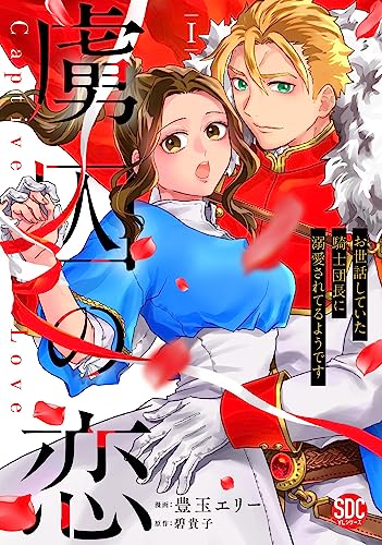 『虜囚の恋～お世話していた騎士団長に溺愛されてるようです～I』1巻